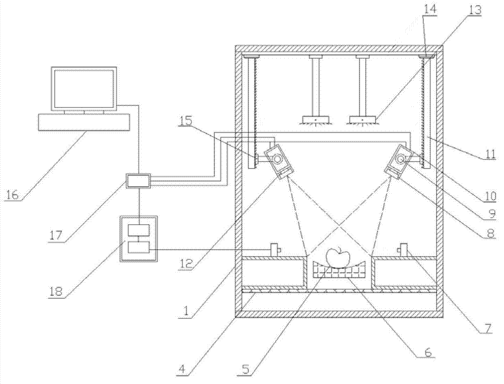 Fruit appearance defect real-time on-line detection system and detection method