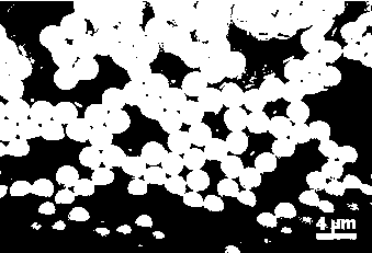 Bioactive multilayer multiphase ceramic microsphere material and its preparation method and use