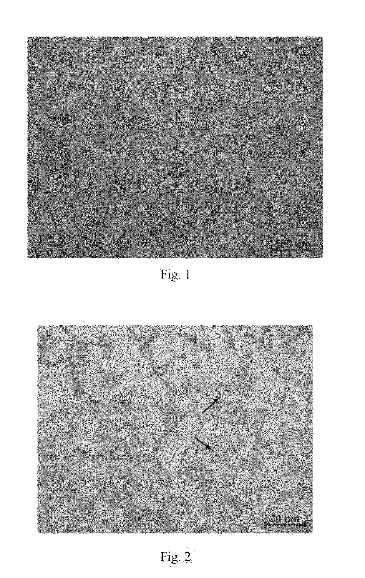 Lightweight steel and steel sheet with enhanced elastic modulus, and manufacturing method thereof