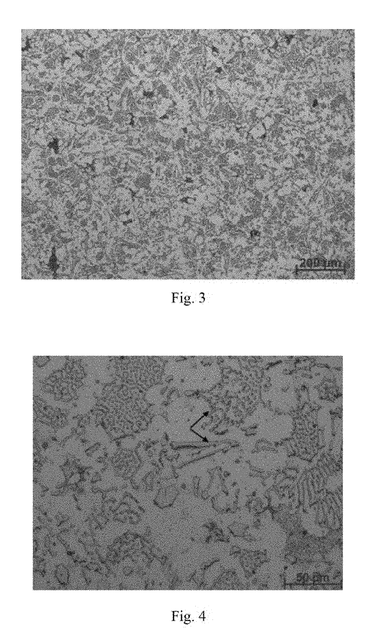 Lightweight steel and steel sheet with enhanced elastic modulus, and manufacturing method thereof