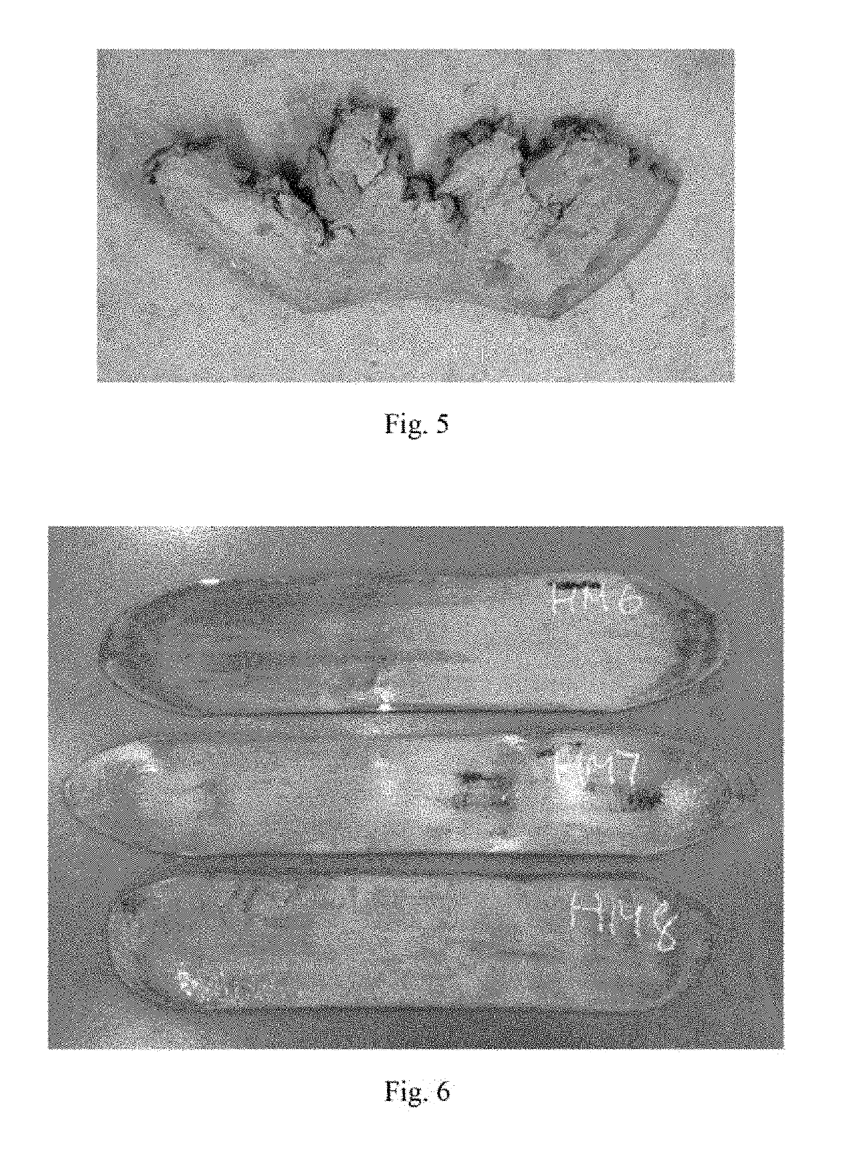 Lightweight steel and steel sheet with enhanced elastic modulus, and manufacturing method thereof