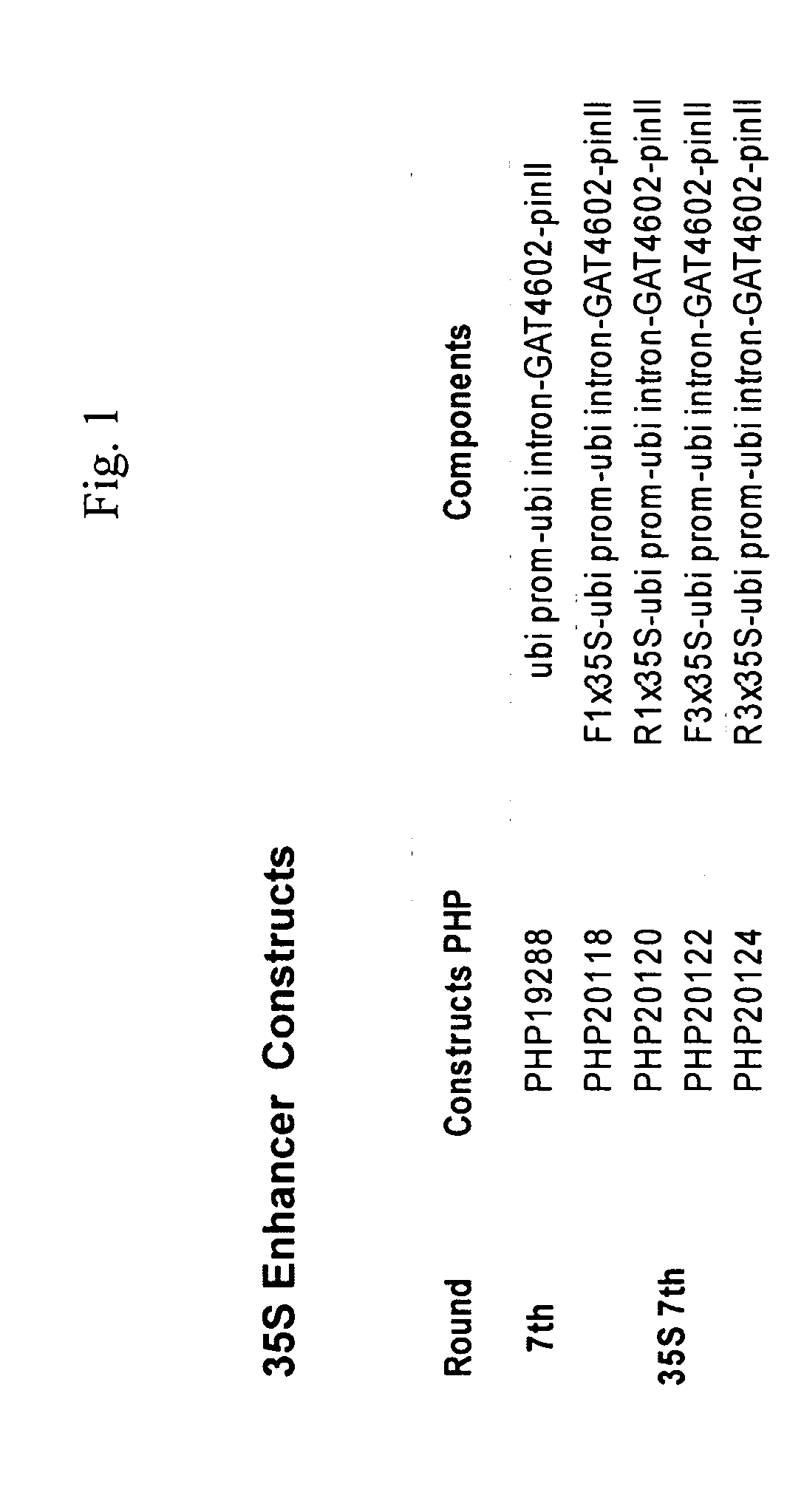 Compositions providing tolerance to multiple herbicides and methods of use thereof