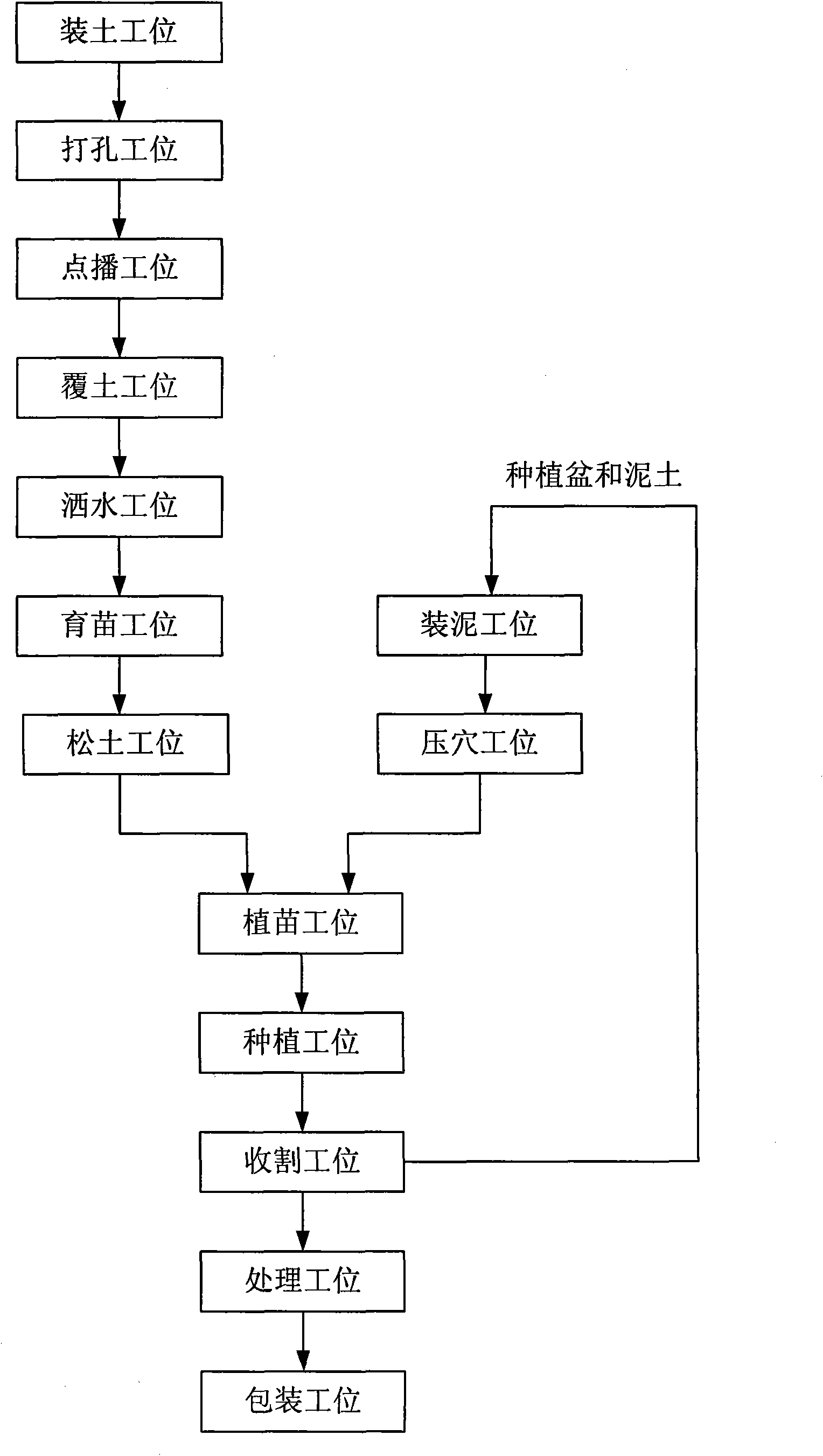 Automatic vegetable cultivation and processing method