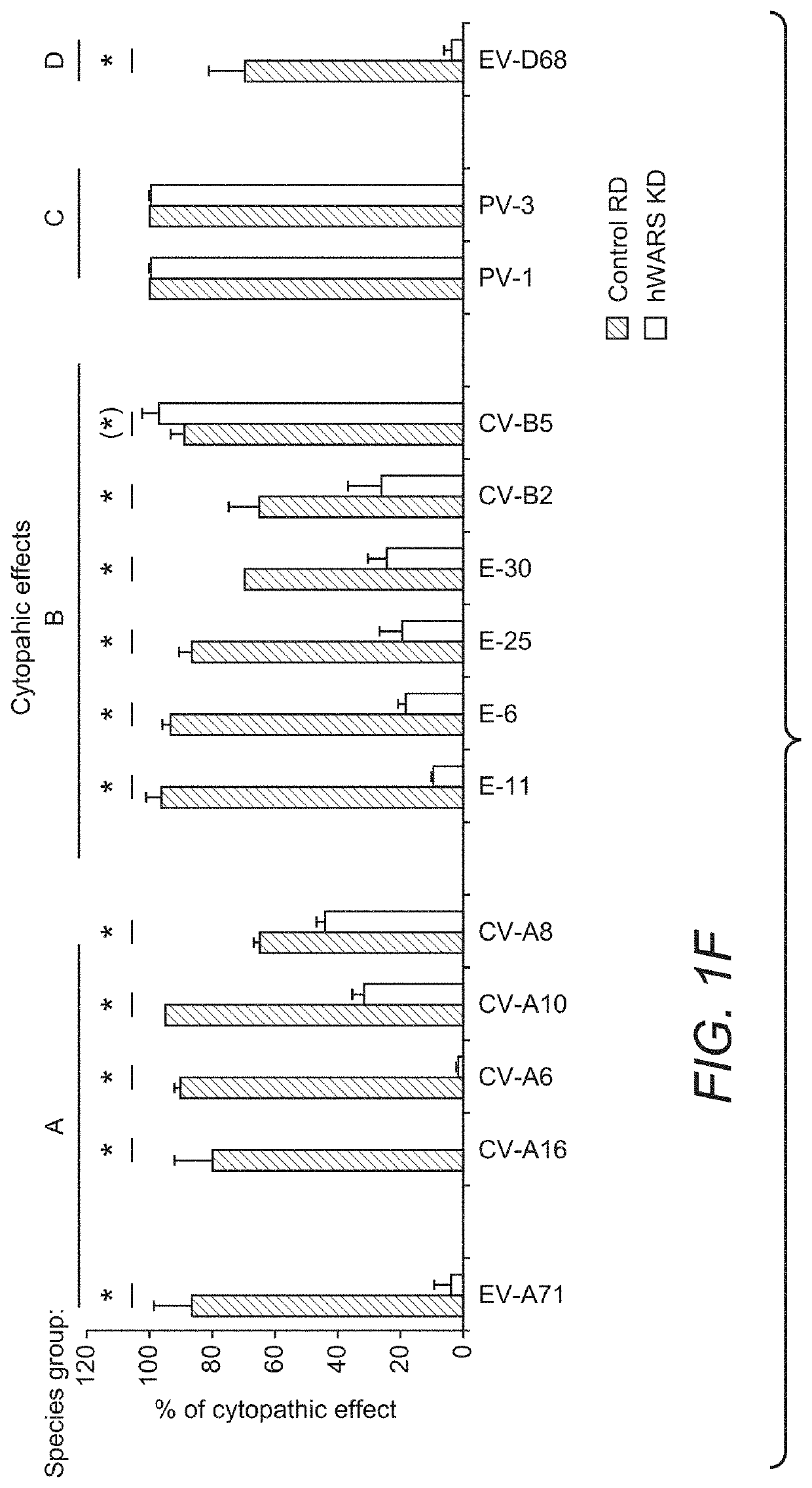 Compositions and methods for treatment of enterovirus infection