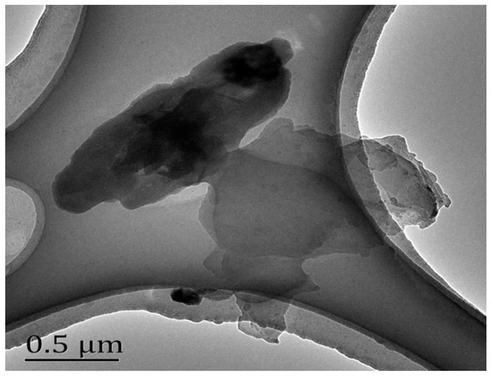 A boron drug-loaded system modified by rgd peptide and its preparation and application