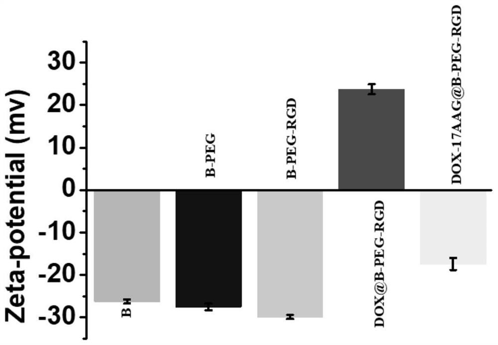 A boron drug-loaded system modified by rgd peptide and its preparation and application