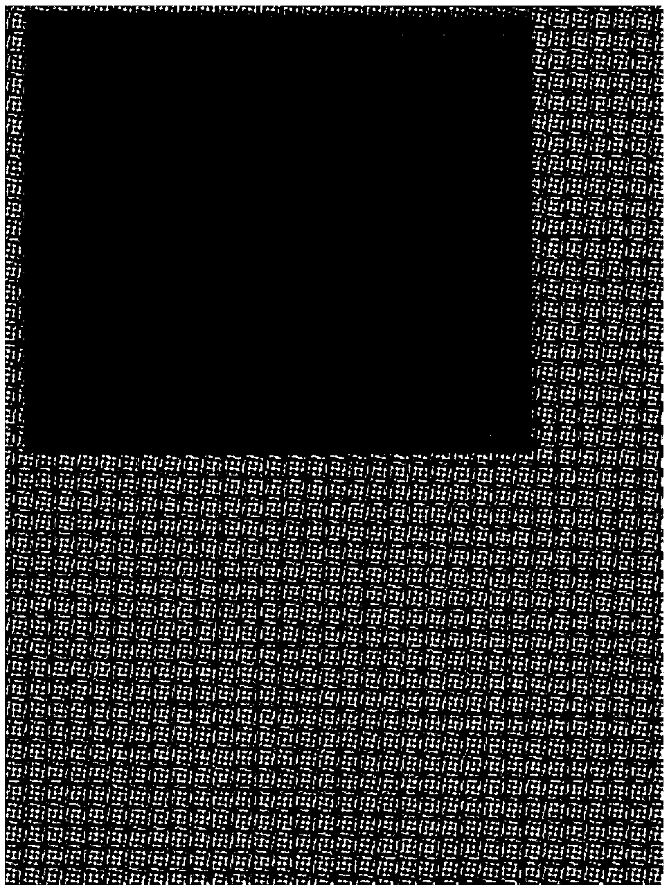 Anti-counterfeit identification embedding method based on double encrypted channels