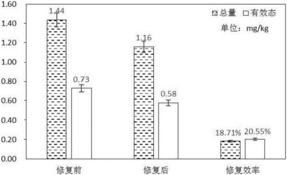 Method for repairing soil heavy metal cadmium pollution through endive-oil sunflower crop rotation mode