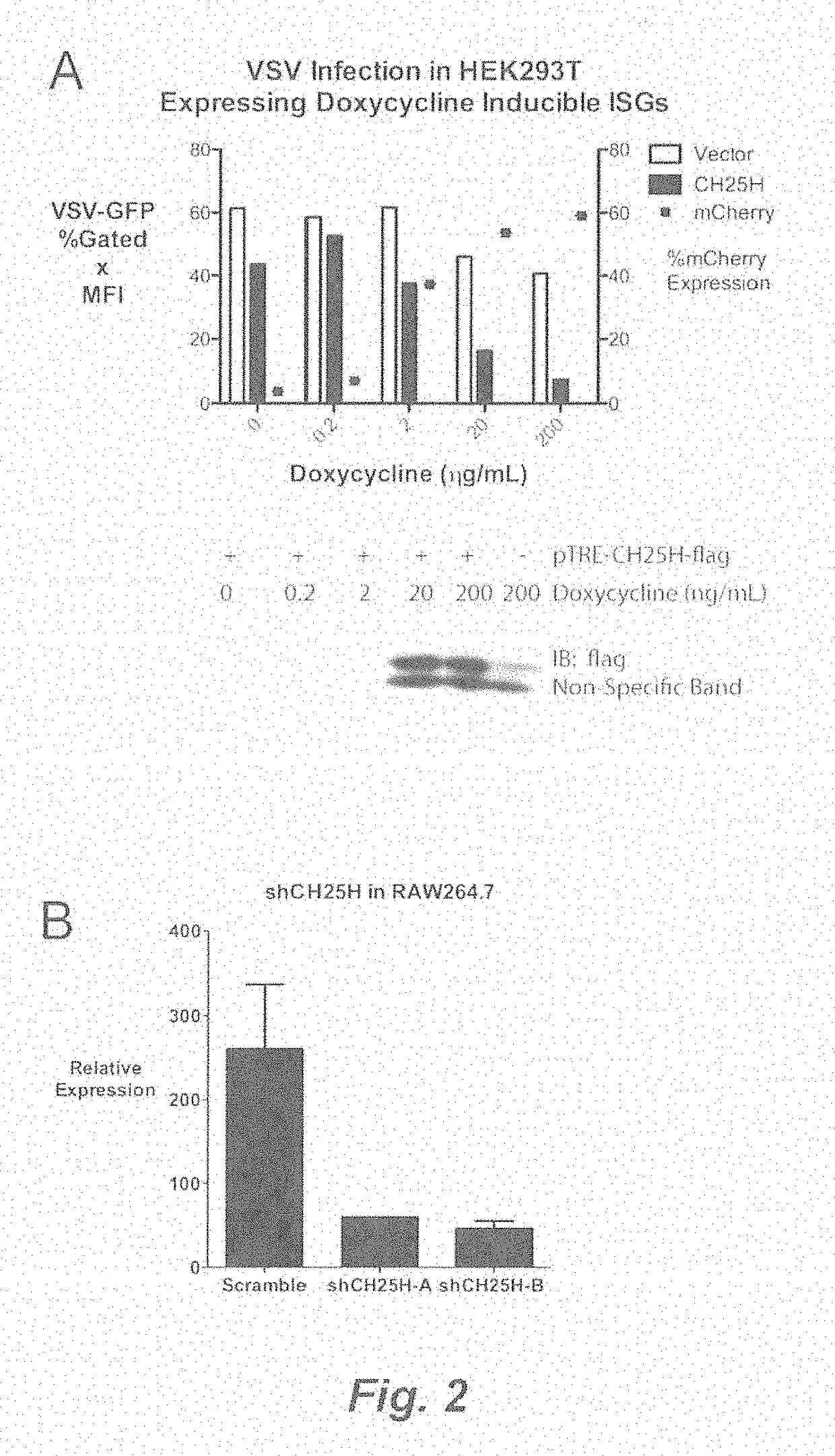 Broad antiviral therapy with membrane modifying oxysterols