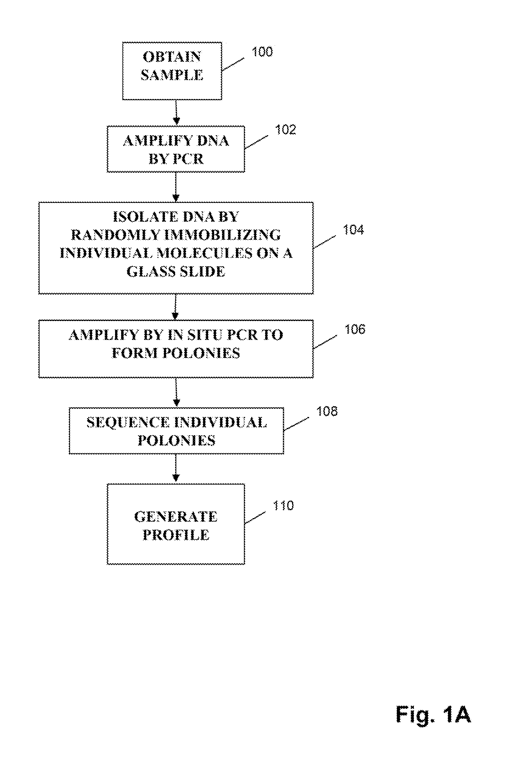 Monitoring health and disease status using clonotype profiles