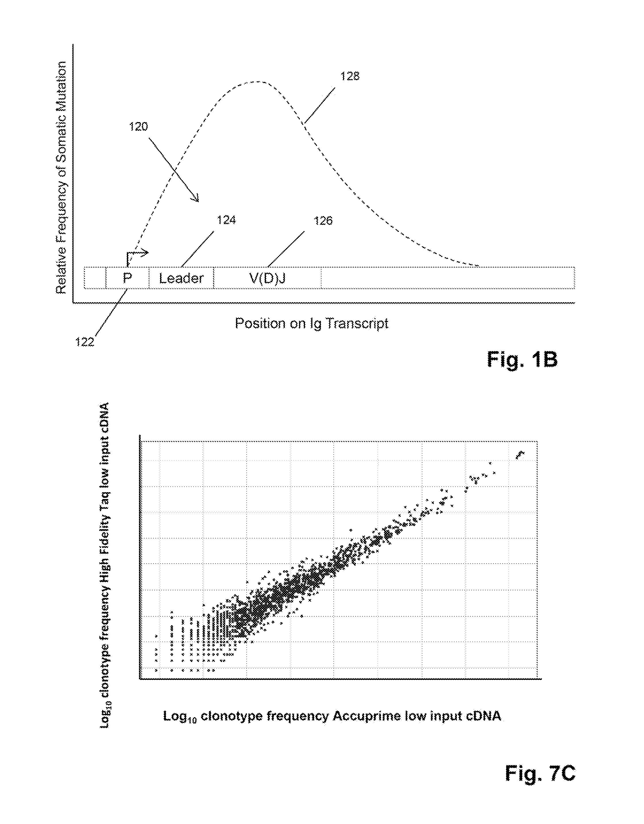 Monitoring health and disease status using clonotype profiles