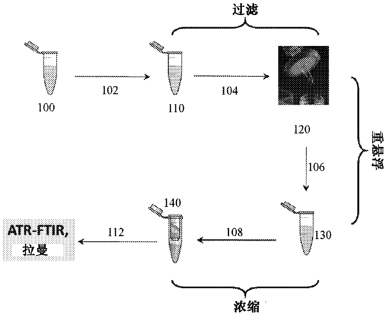 Spectroscopic systems and methods for the identification and quantification of pathogens