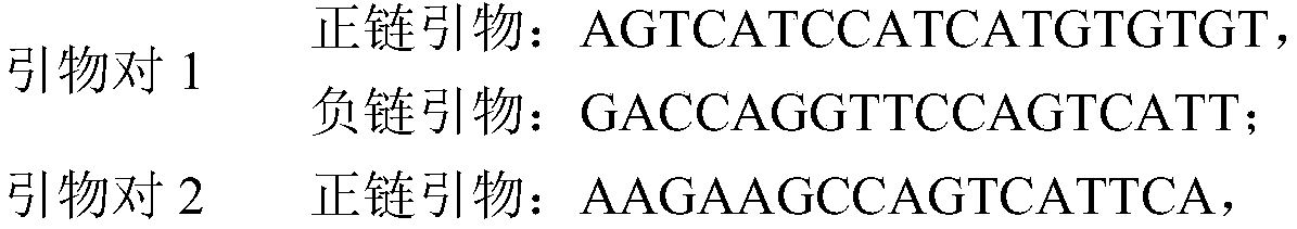 Phenylketonuria monogenic disease mutation detection primer set, kit and method