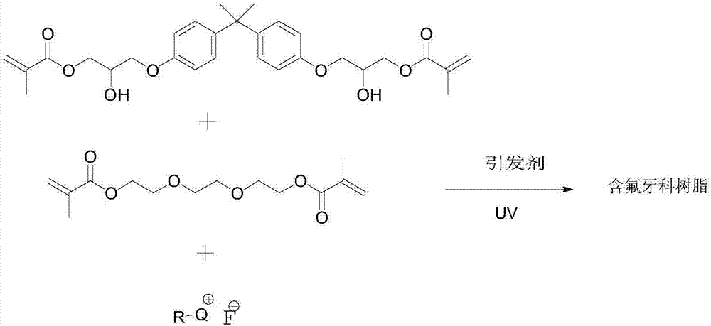 Dental resin monomer containing fluorine ions, and preparation method and application thereof