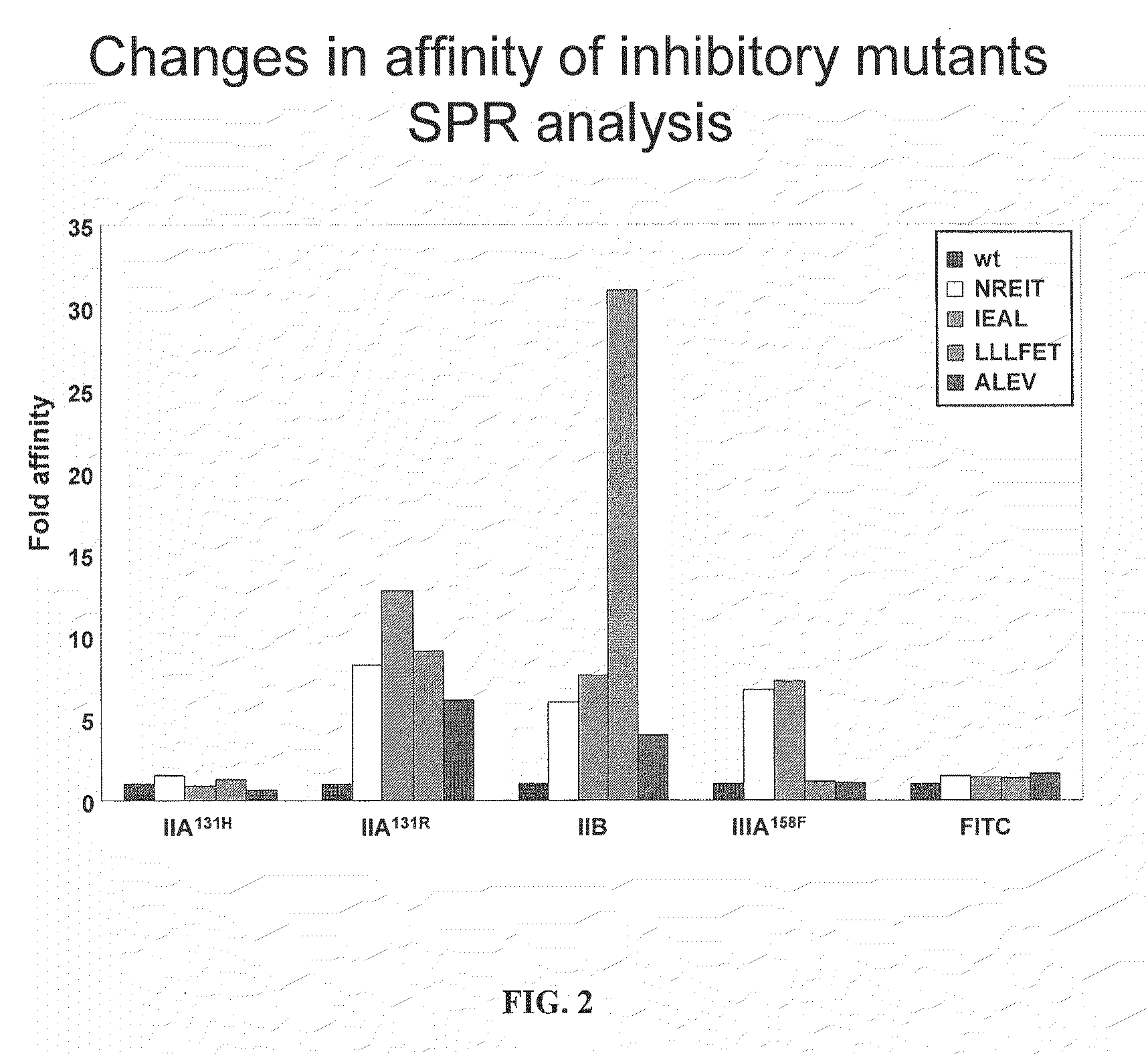 Fc mutants