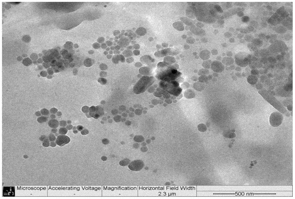 Application of fullerene as conditioning agent for conditioning growth or metabolism of microorganism