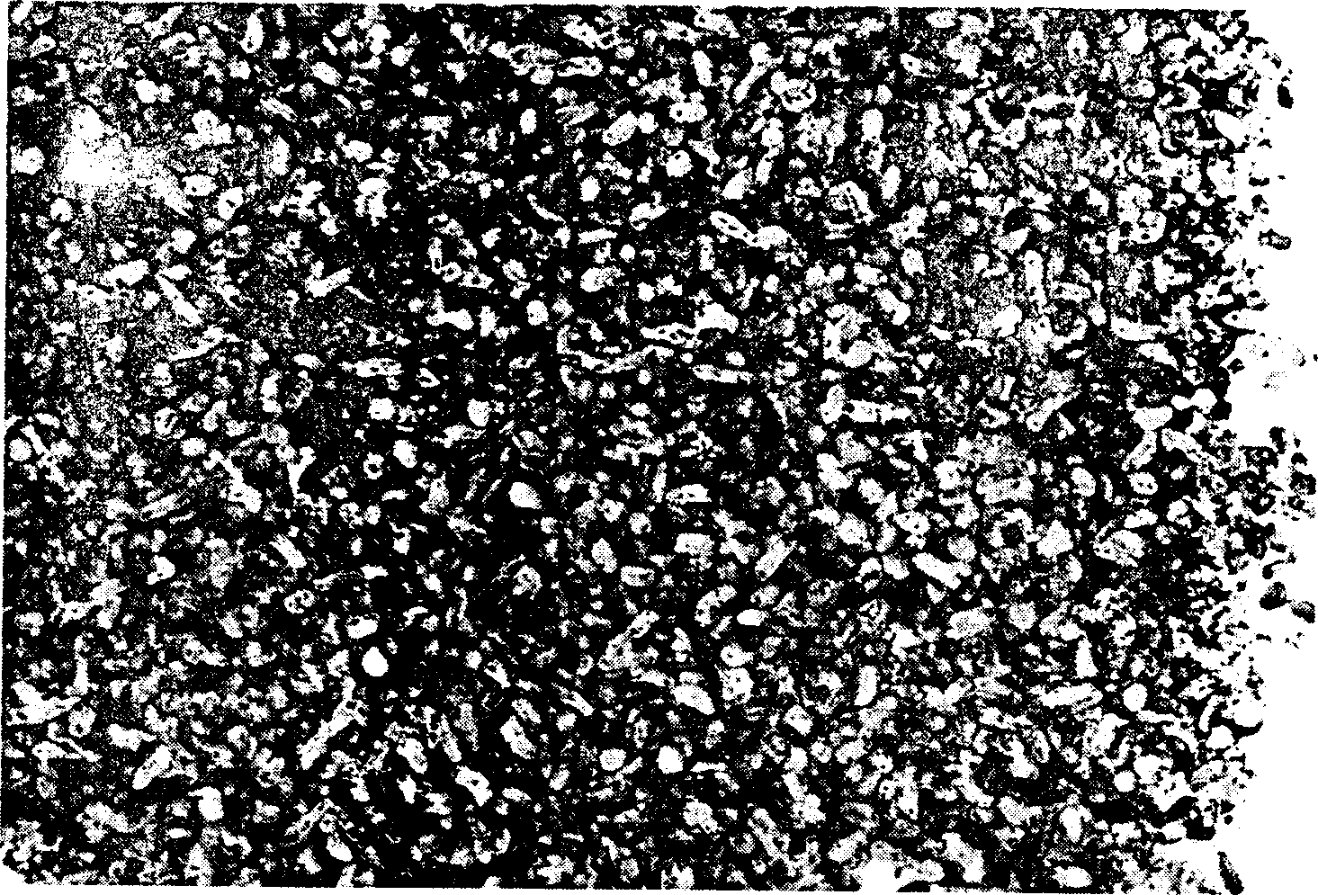 Fixed bacterial fertilizer and preparing method thereof