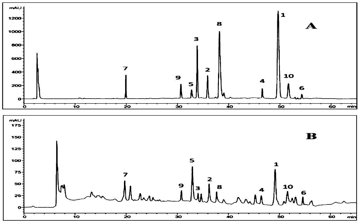 Standardized morus australis root extract as well as preparation method and application thereof