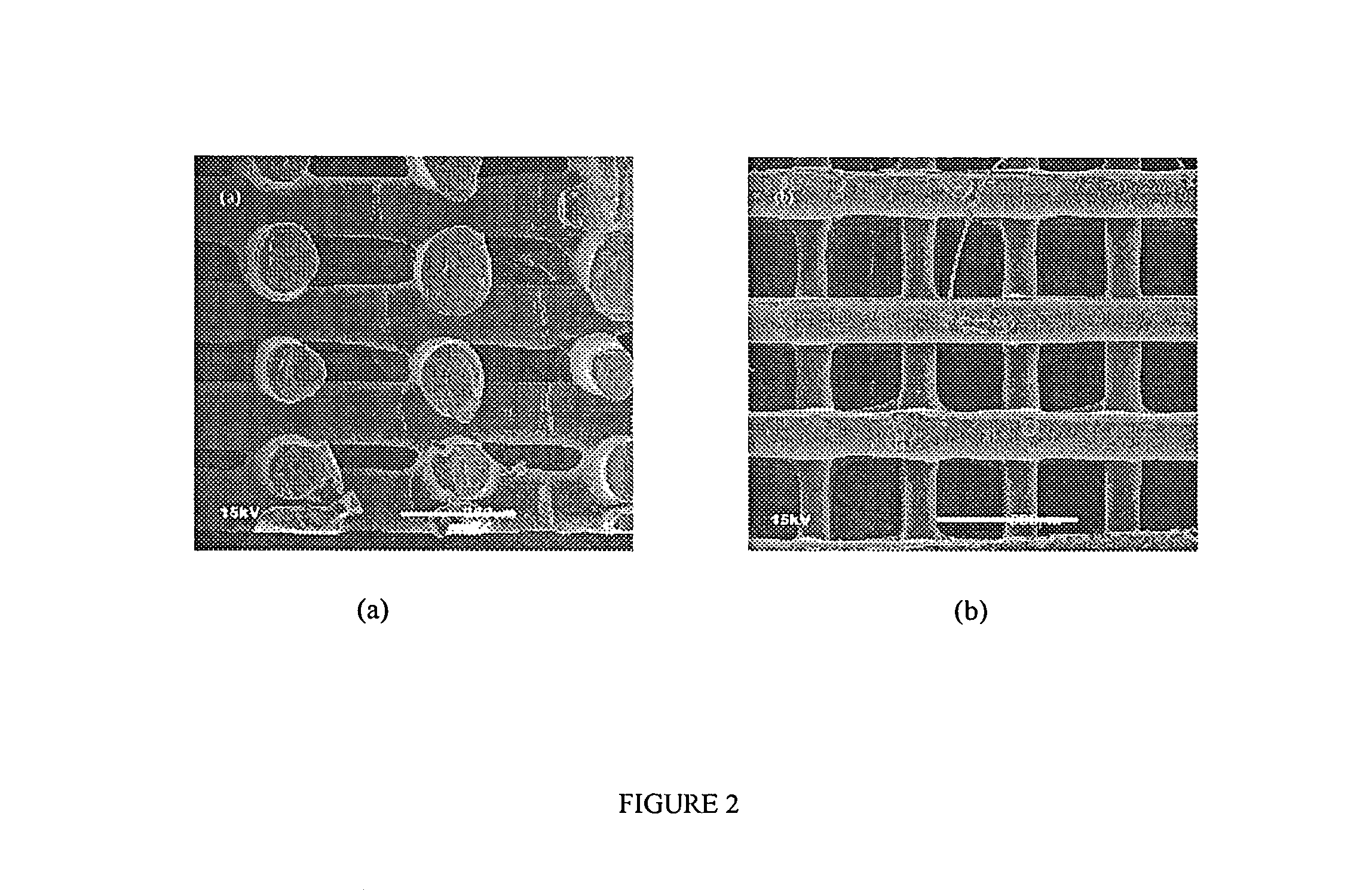 Three-dimensional bioresorbable scaffolds for tissue engineering applications