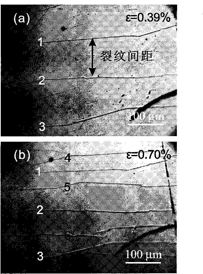 In situ evaluation system and method of reliability of thin-film materials on flexible electronic substrate