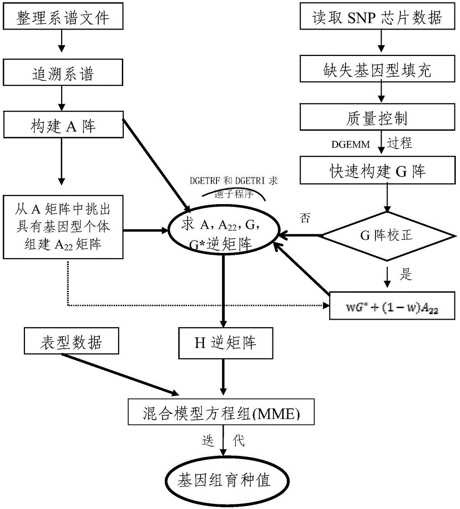 Method for rapidly evaluating genome breeding value and application