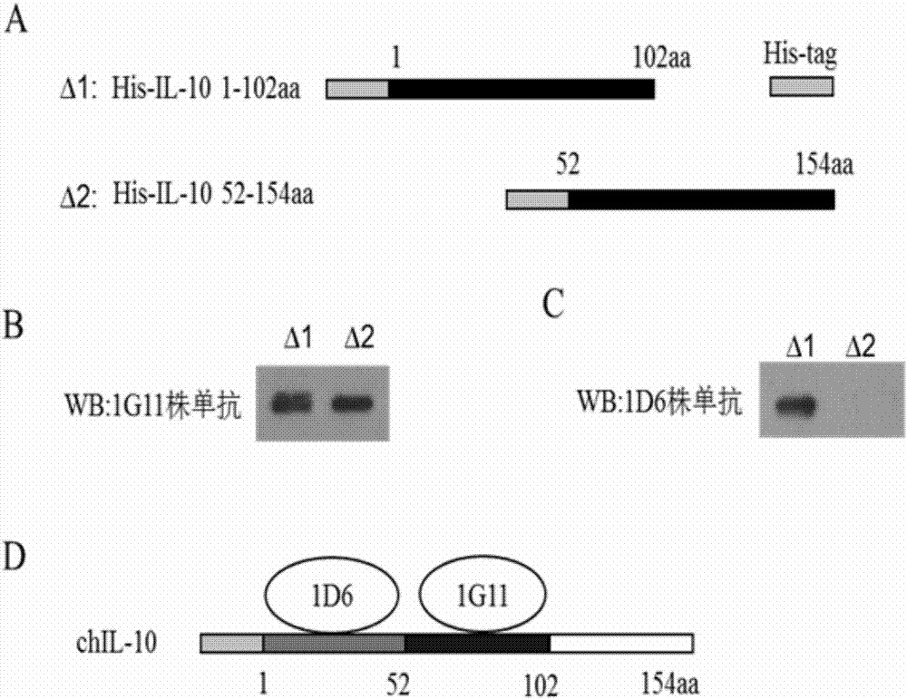 Method for detecting content of avian interleukin 10 and a special kit thereof