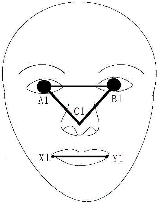 A method and display system for tracking and locating human faces