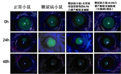 Resveratrol micelle eye drops and preparation method thereof