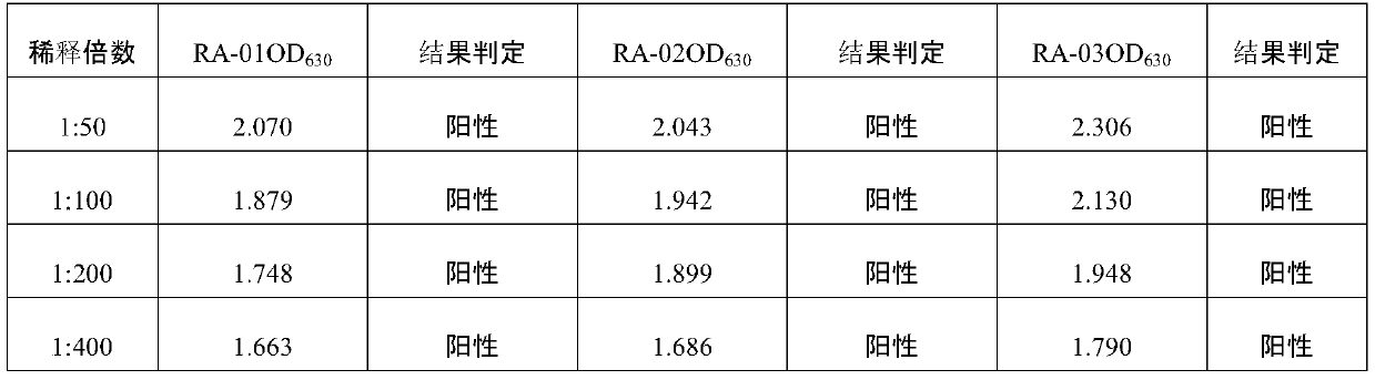 Positive serum for riemerella anatipestifer (RA) as well as preparation method and application of positive serum