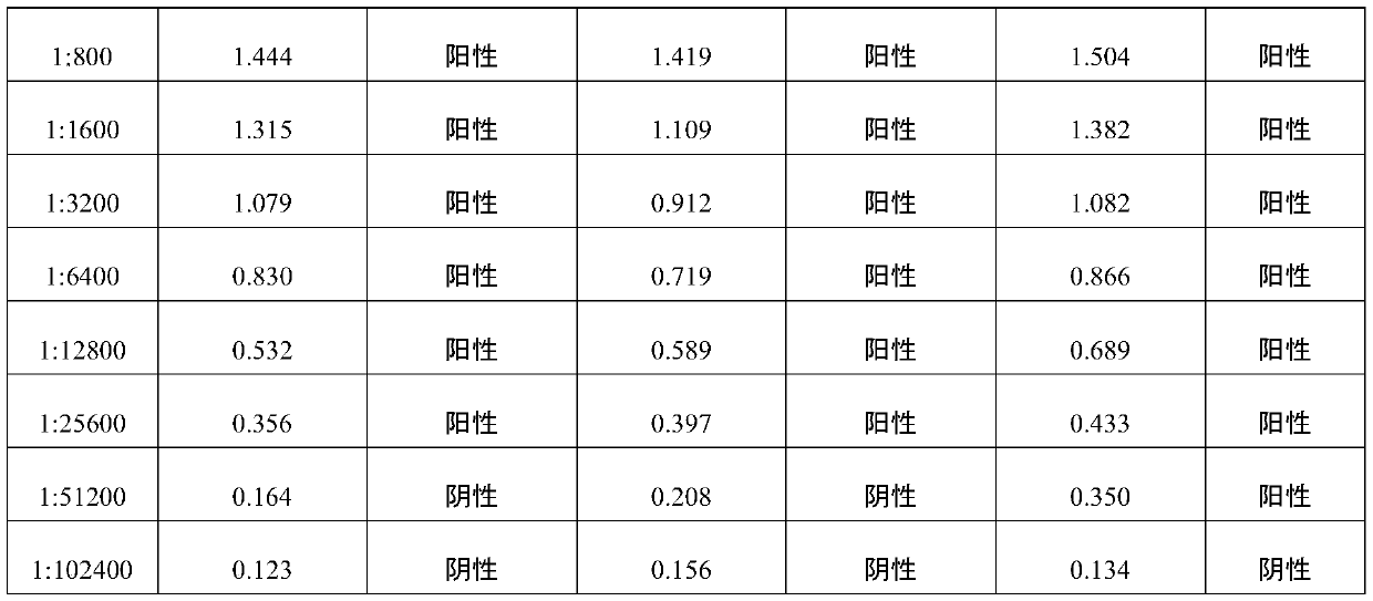 Positive serum for riemerella anatipestifer (RA) as well as preparation method and application of positive serum