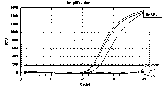 Goose-origin kidney-type astrovirus GoAstV rapid diagnosis primer probe group, detecting method and application