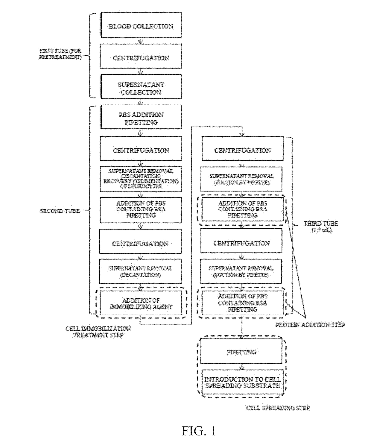 Cell-spreading method and cell-spreading kit for observing rare cells