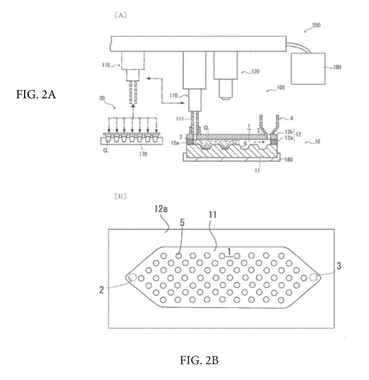 Cell-spreading method and cell-spreading kit for observing rare cells