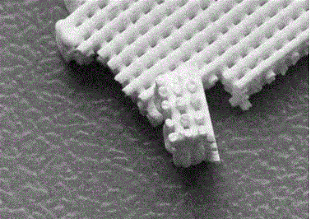 3D printing preparation method of bond defect repair stent