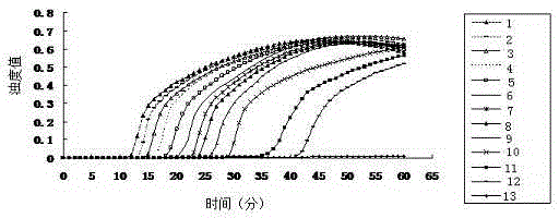 PPV (porcine parvovirus) LAMP (loop-mediated isothermal amplification) kit and application thereof