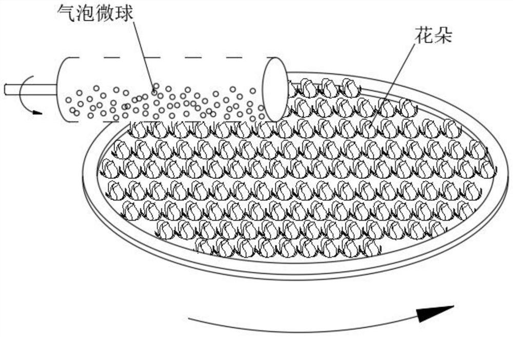 Dried flower preparation process