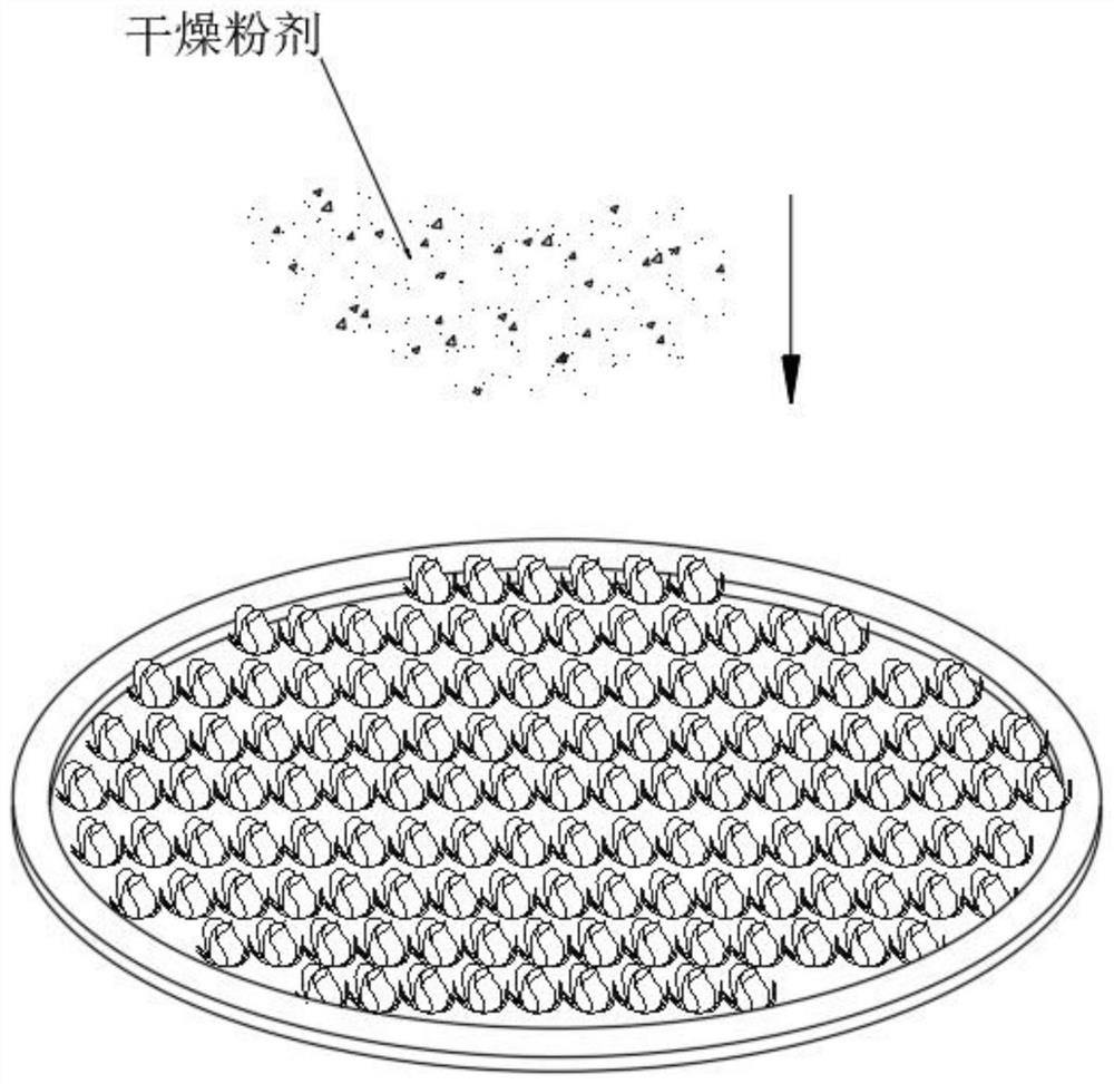 Dried flower preparation process