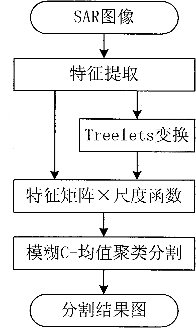 SAR (Synthetic Aperture Radar) image segmentation method based on Treelets and fuzzy C-means clustering