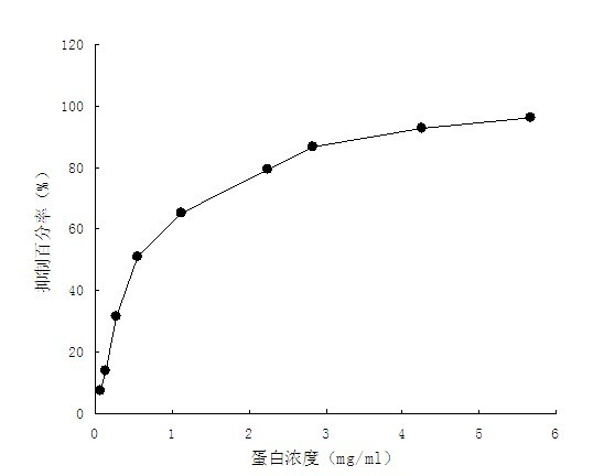 Gynura bicolor protein extract, and preparation method and application thereof