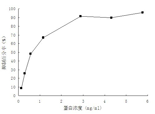 Gynura bicolor protein extract, and preparation method and application thereof