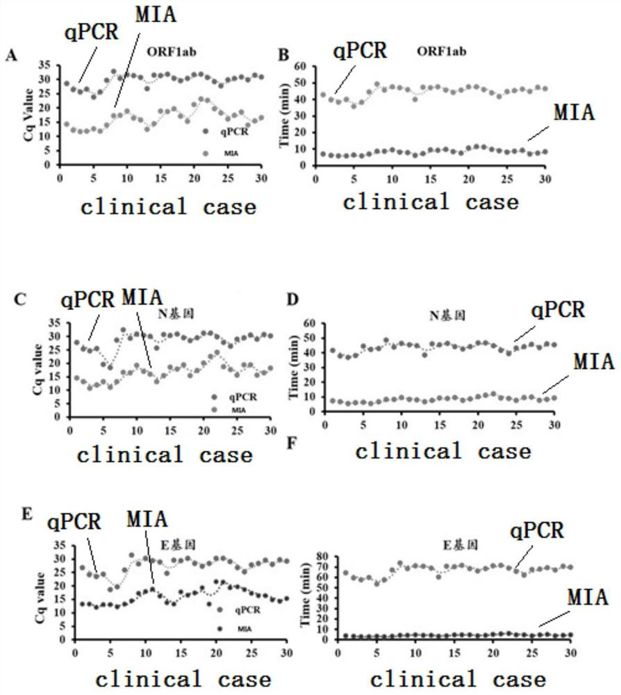 MIA primer, probe and kit for detecting COVID-19 and application of MIA primer and probe