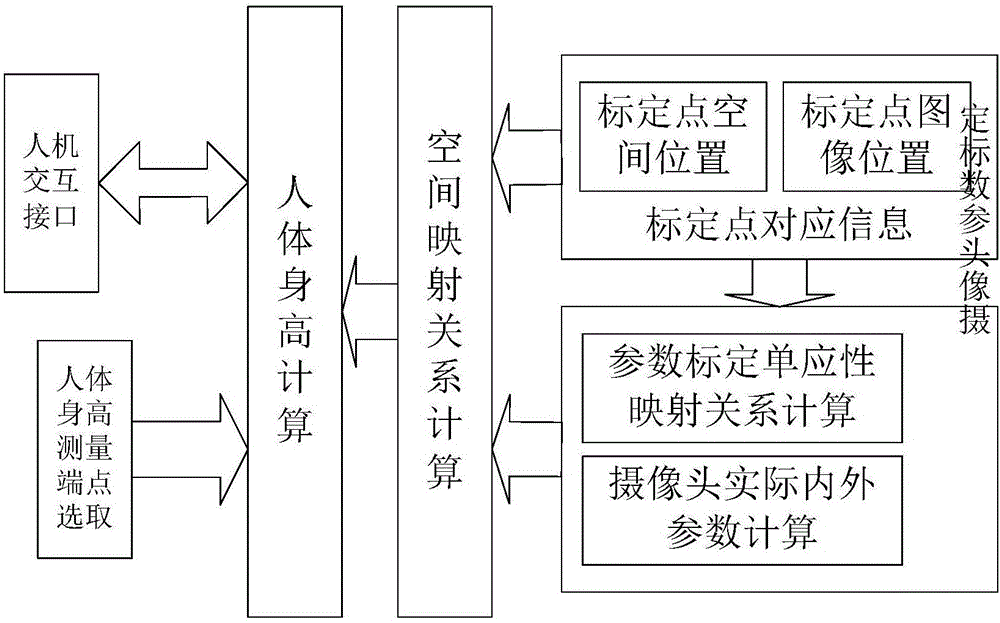 System and method for measuring height of human body in video image based on camera calibration