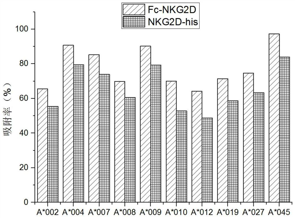 NKG2D receptor protein easy to directionally couple and immunoadsorbent of NKG2D receptor protein