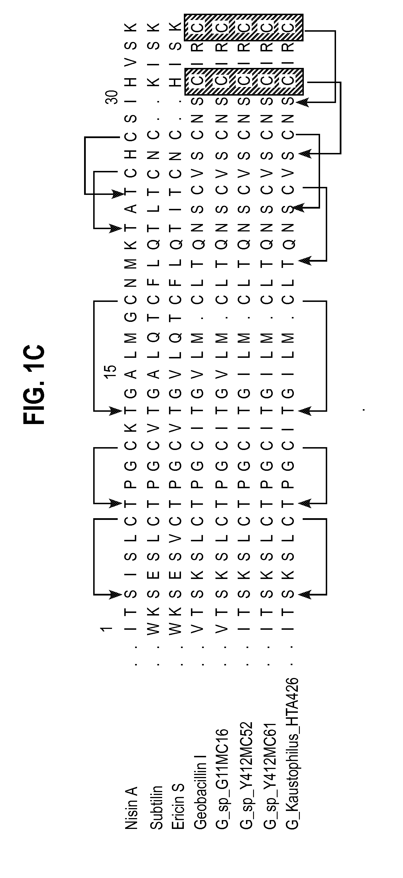 Class I and II Lantibiotics from Geobacillus thermodenitrificans