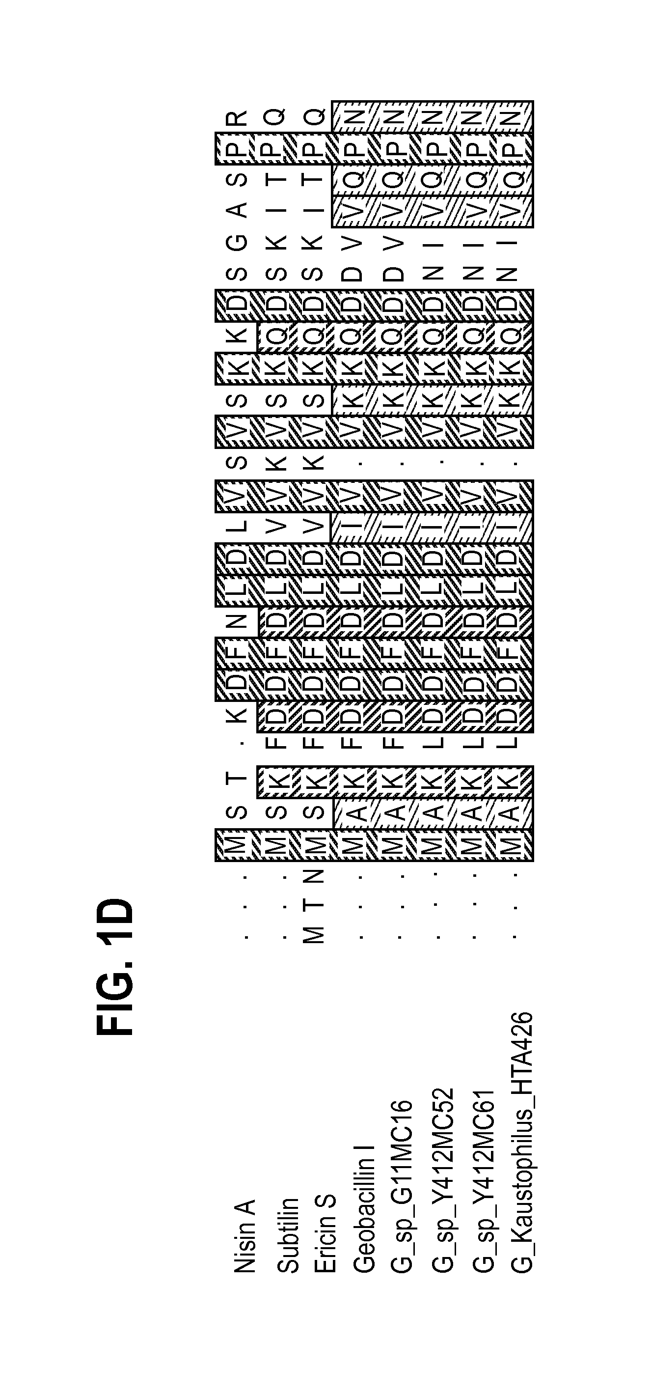 Class I and II Lantibiotics from Geobacillus thermodenitrificans