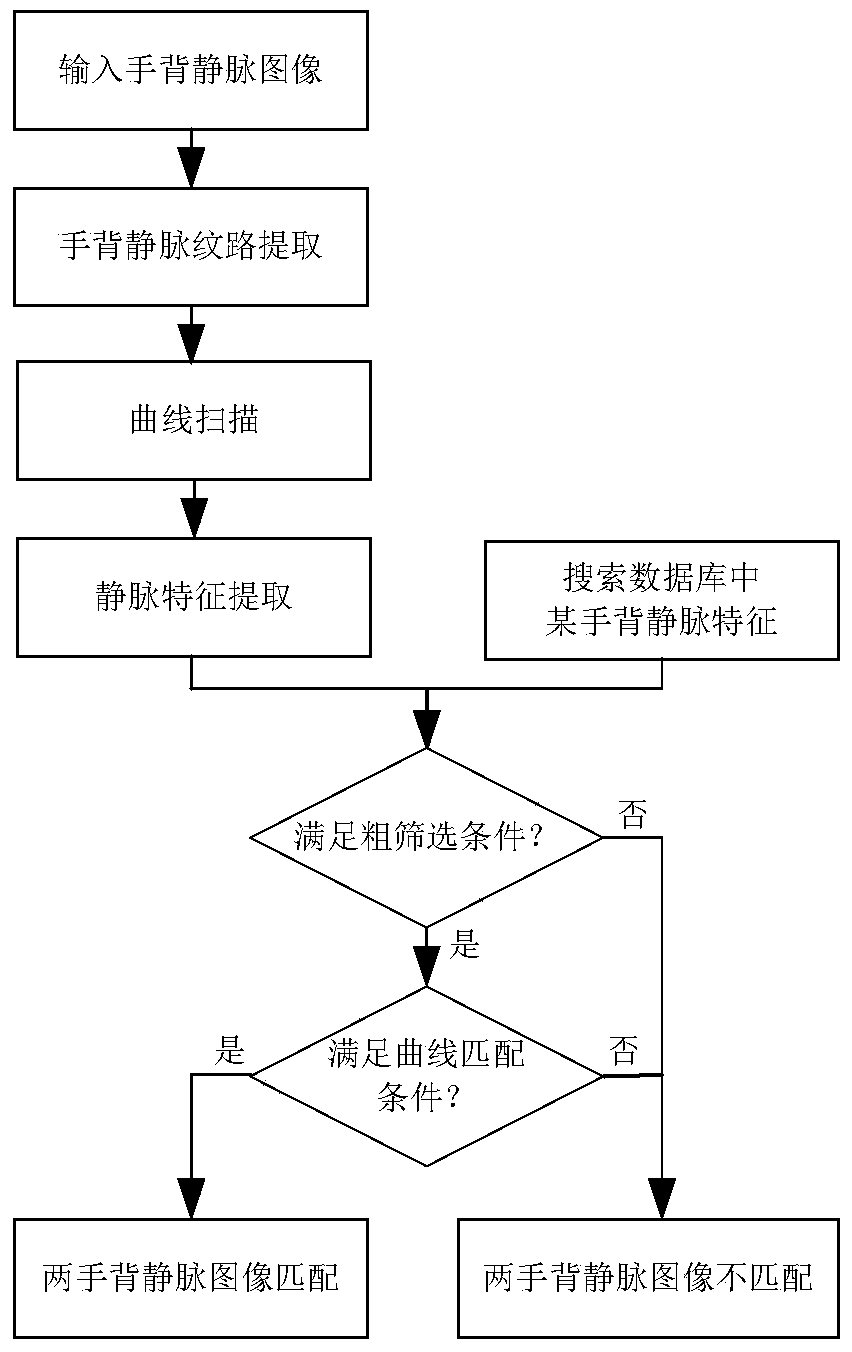 Hand Vein Recognition Method Based on Curve Matching