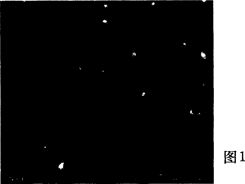 Nano-electrolytic copper foil suitable to lithium ion cell and preparation method