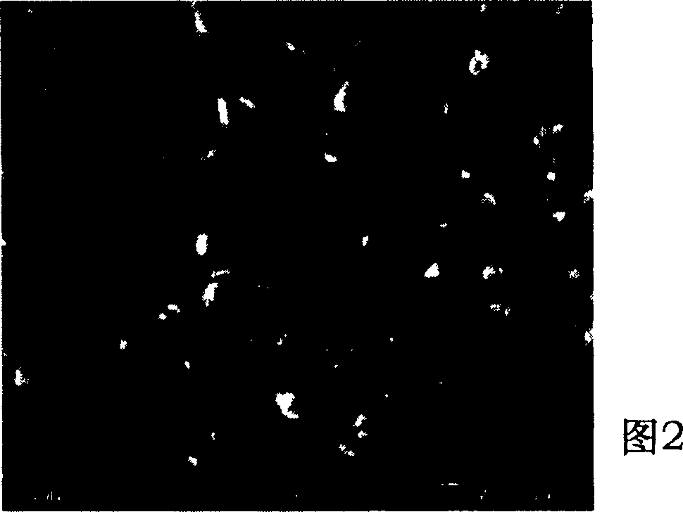 Nano-electrolytic copper foil suitable to lithium ion cell and preparation method