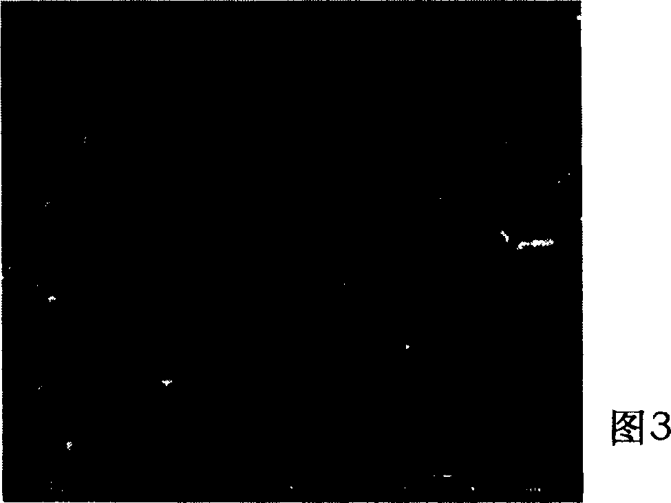 Nano-electrolytic copper foil suitable to lithium ion cell and preparation method