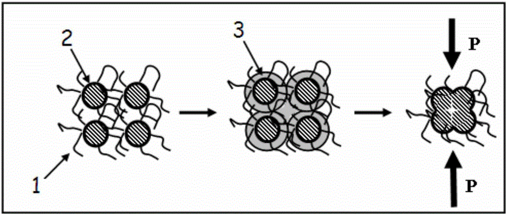 Preparation method of carbon nanotube modified foamed ceramics